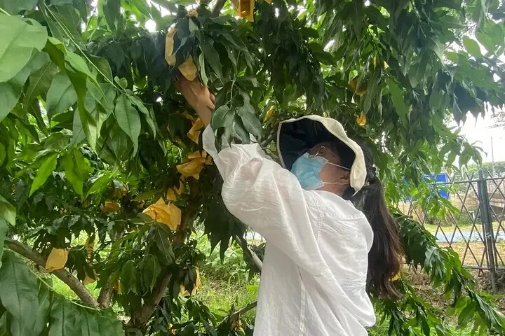 7c
