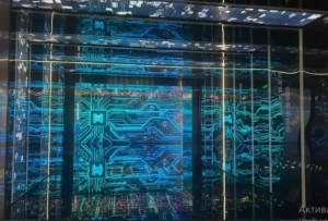 eeg