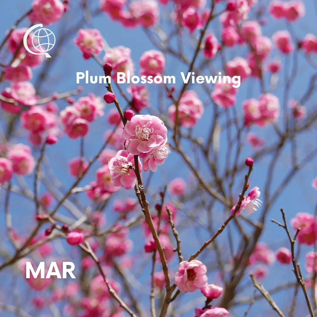 Plum Blossom Viewing