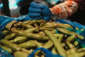 closeup edamame local chinese market