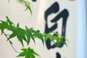 closeup chinese art decoration
